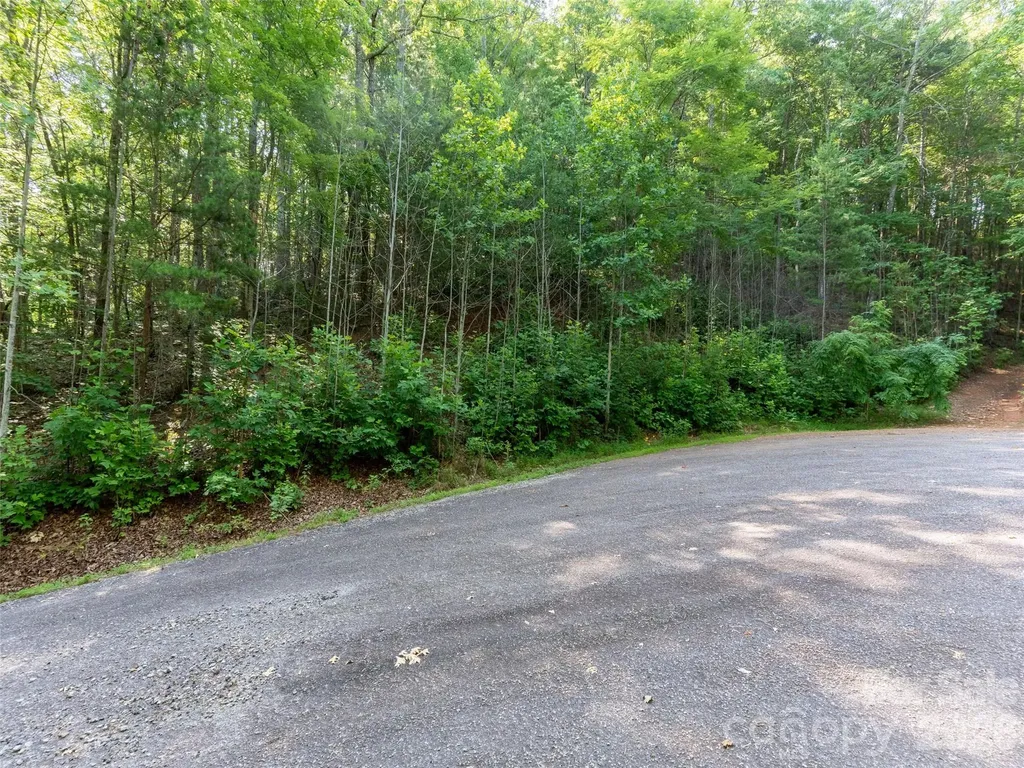 00 Rhododendron Drive Saluda NC 28773