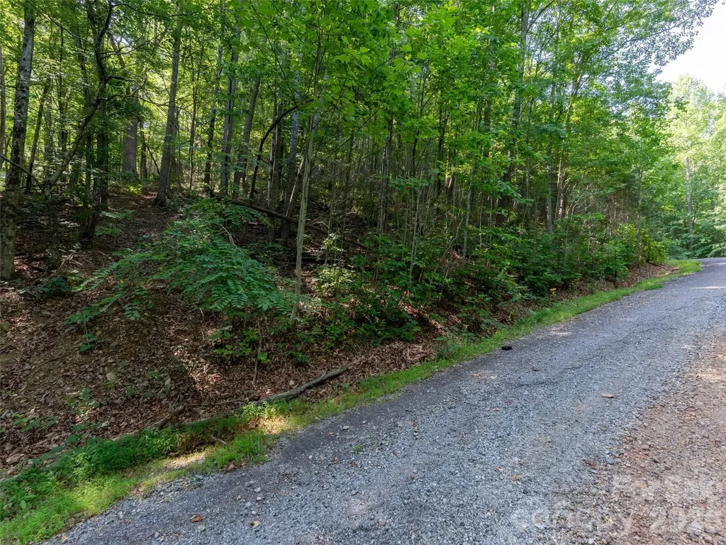00 Rhododendron Drive Saluda NC 28773