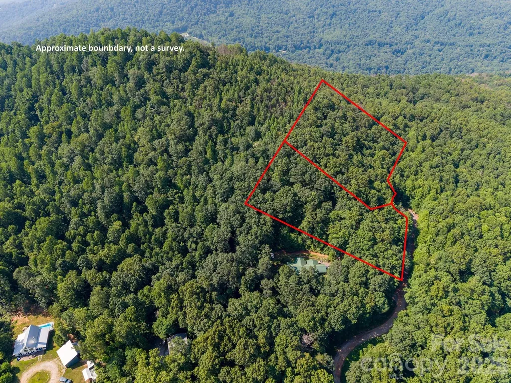 00 Rhododendron Drive Saluda NC 28773