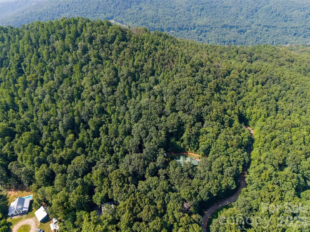 00 Rhododendron Drive Saluda NC 28773