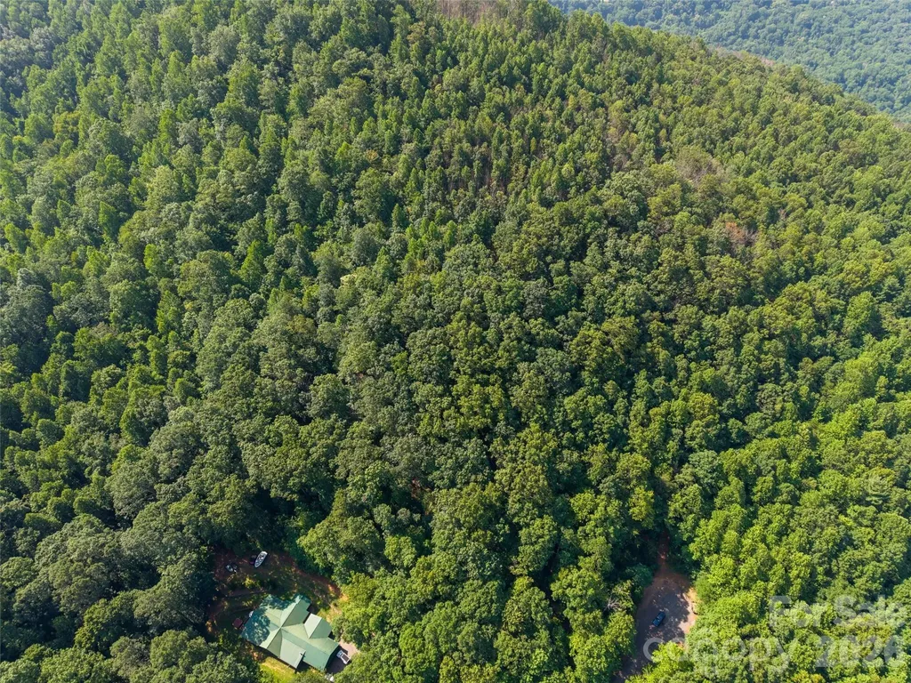 00 Rhododendron Drive Saluda NC 28773