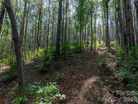 00 Rhododendron Drive Saluda NC 28773