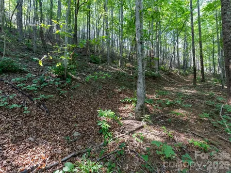 00 Rhododendron Drive Saluda NC 28773