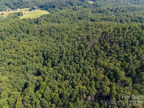 00 Rhododendron Drive Saluda NC 28773