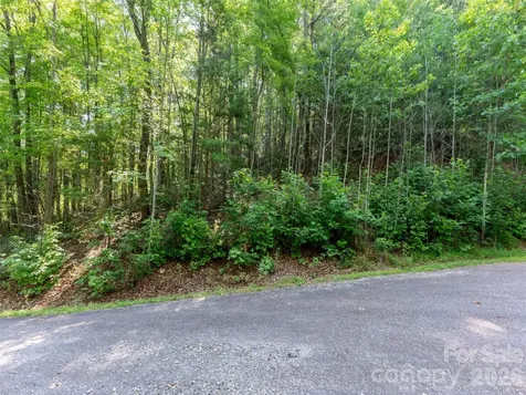 00 Rhododendron Drive Saluda NC 28773