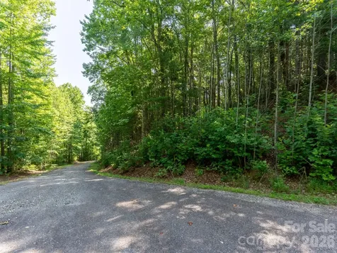 00 Rhododendron Drive Saluda NC 28773