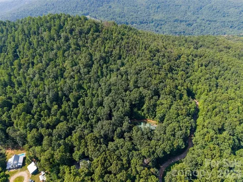 00 Rhododendron Drive Saluda NC 28773