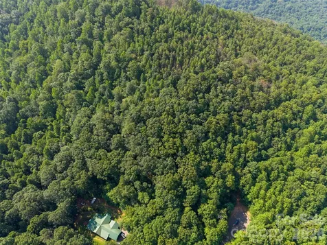 00 Rhododendron Drive Saluda NC 28773