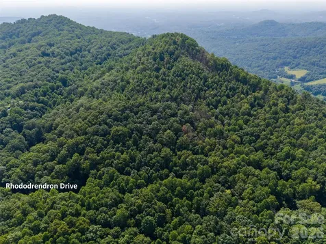 00 Rhododendron Drive Saluda NC 28773