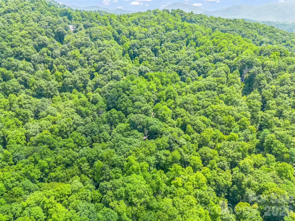 20 Kimberly Road Black Mountain NC 28711