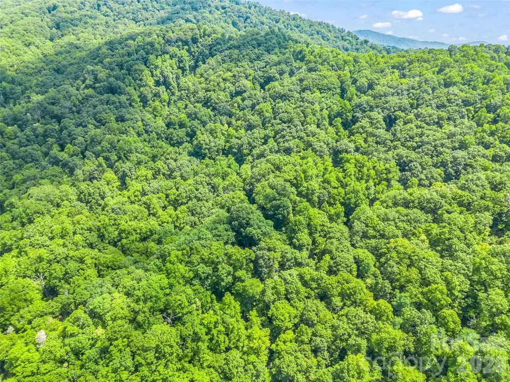 20 Kimberly Road Black Mountain NC 28711