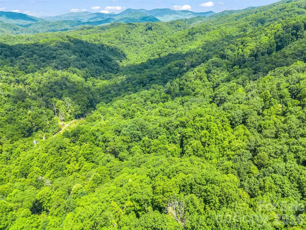 20 Kimberly Road Black Mountain NC 28711