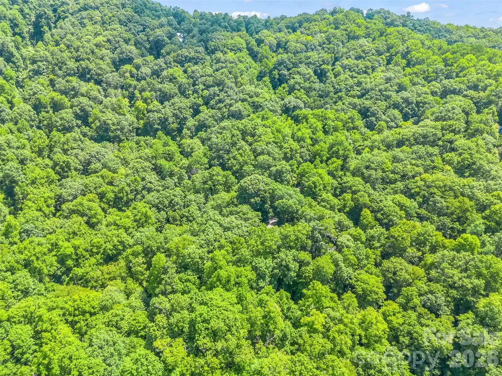 20 Kimberly Road Black Mountain NC 28711