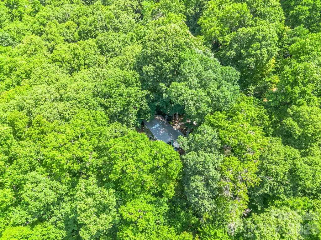 20 Kimberly Road Black Mountain NC 28711