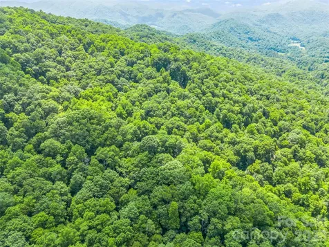 20 Kimberly Road Black Mountain NC 28711
