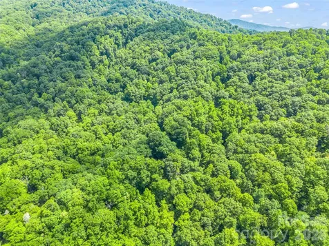 20 Kimberly Road Black Mountain NC 28711