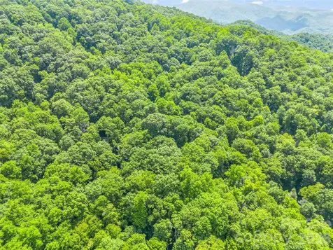 20 Kimberly Road Black Mountain NC 28711