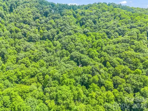 20 Kimberly Road Black Mountain NC 28711