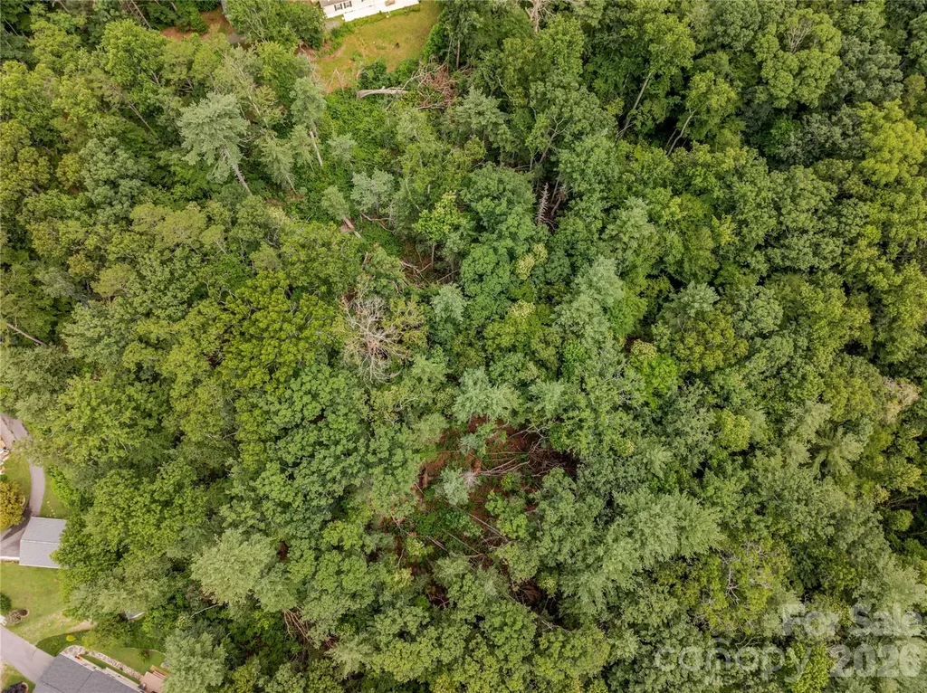 99999 Reynolds School Road Asheville NC 28806