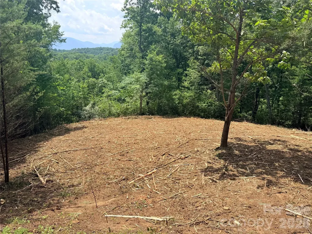 0 Rock Ledge Drive Lake Lure NC 28746