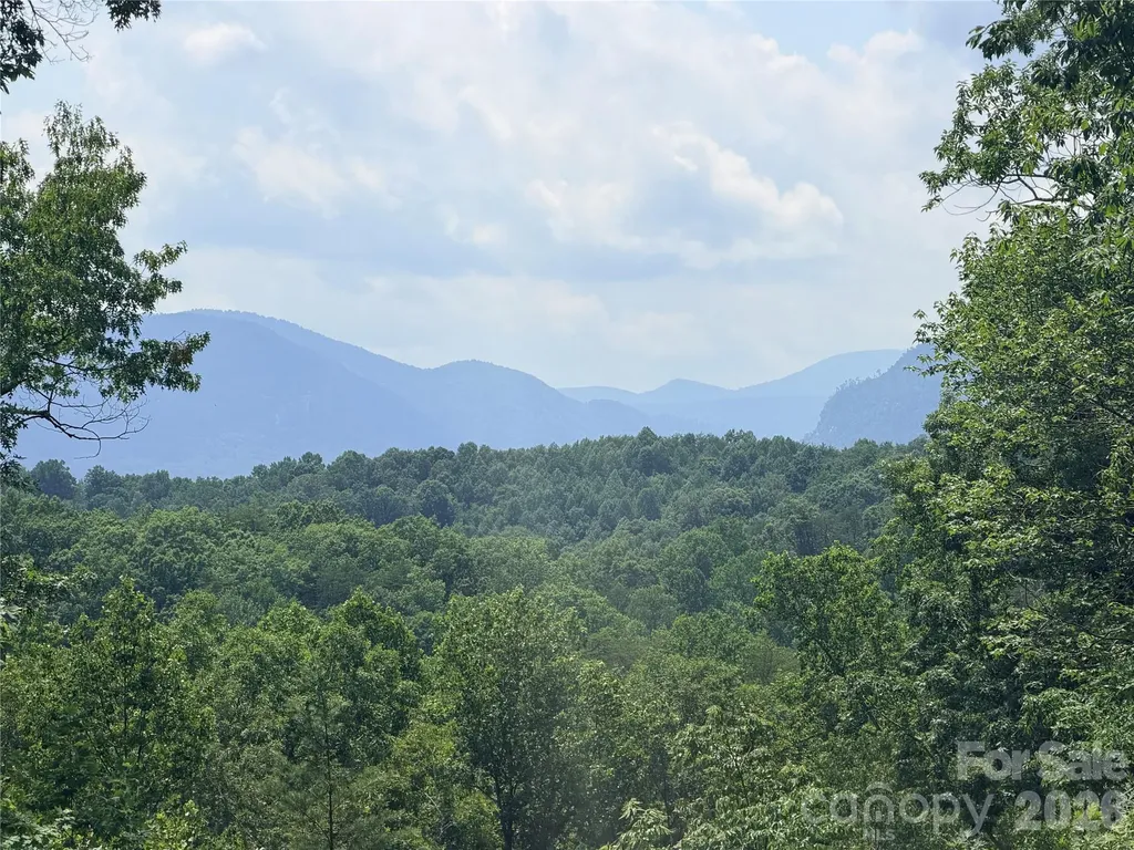 0 Rock Ledge Drive Lake Lure NC 28746