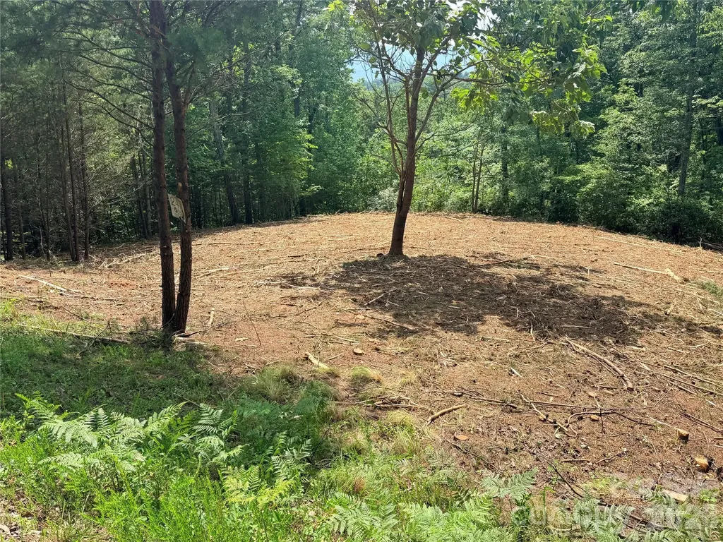0 Rock Ledge Drive Lake Lure NC 28746