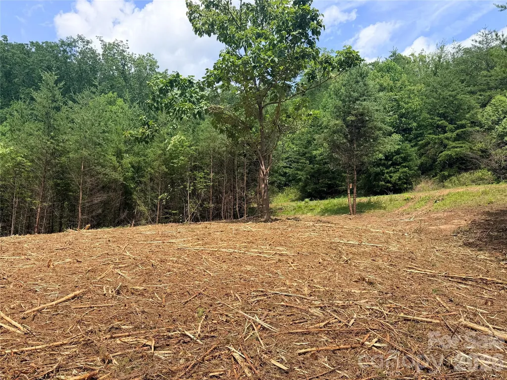0 Rock Ledge Drive Lake Lure NC 28746