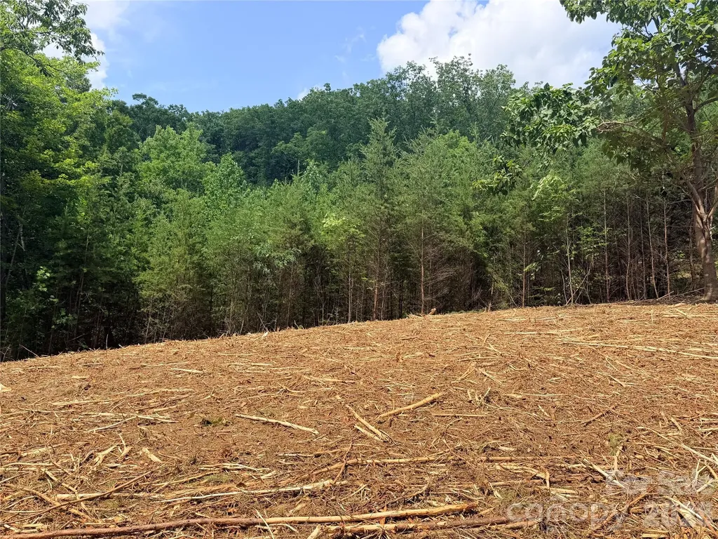 0 Rock Ledge Drive Lake Lure NC 28746