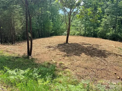 0 Rock Ledge Drive Lake Lure NC 28746