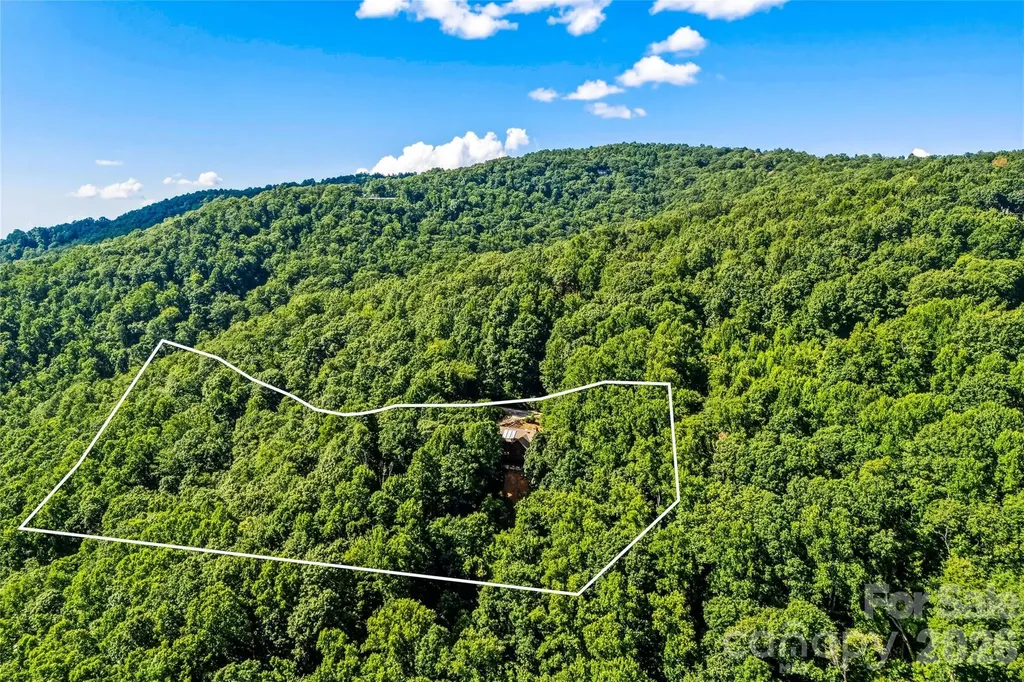 136 Merrills Ridge Road Asheville NC 28803