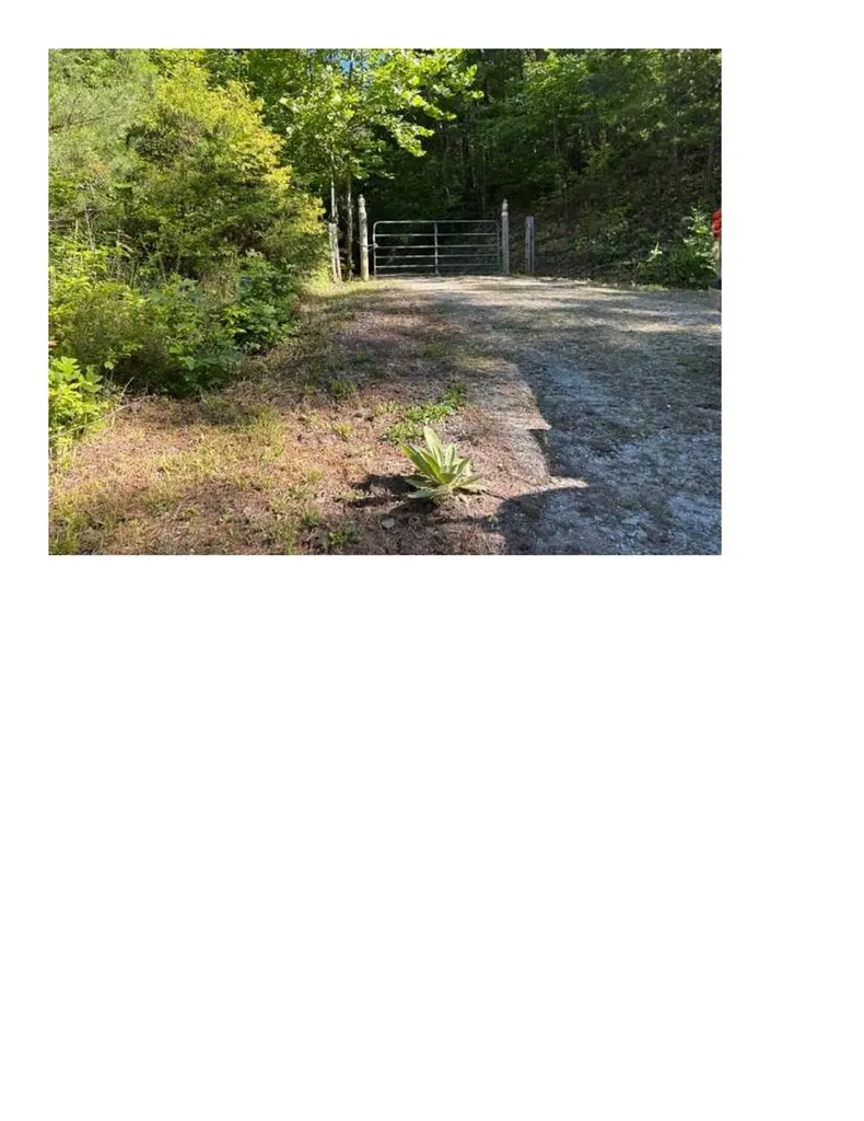 5314 Daisy Place Collettsville NC 28611