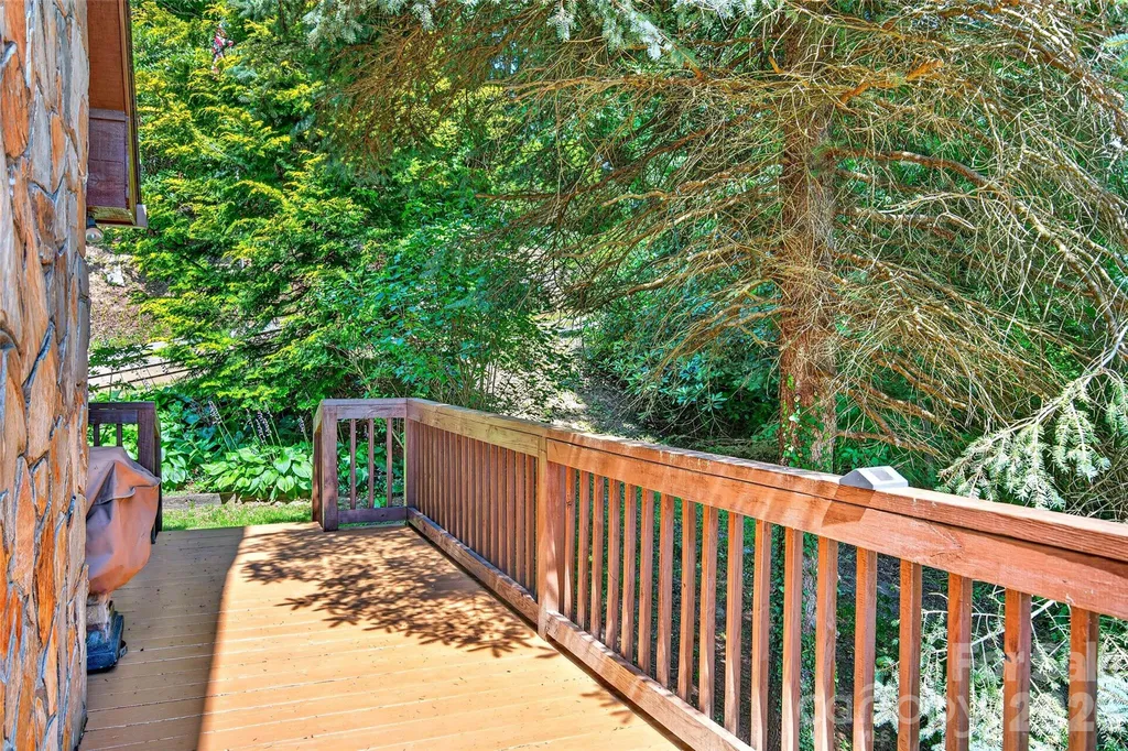 1347 Wipprecht Drive Spruce Pine NC 28777