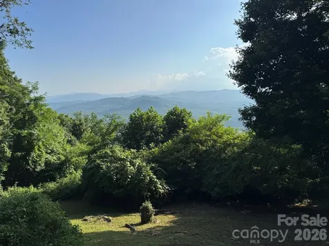 1347 Wipprecht Drive Spruce Pine NC 28777