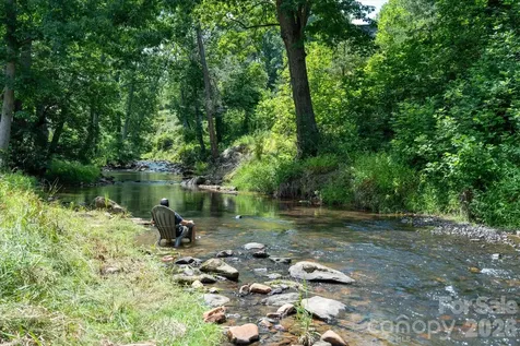 79 Laurel Cove Road Candler NC 28715