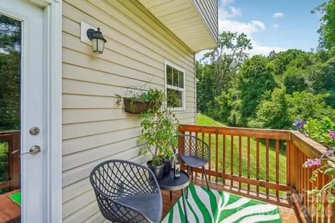 245 Rockrose Court Asheville NC 28803