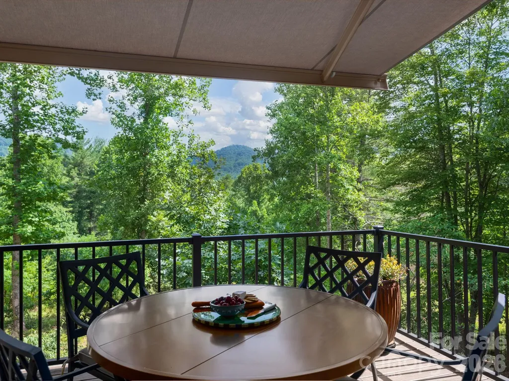 2 Green Drake Court Candler NC 28715