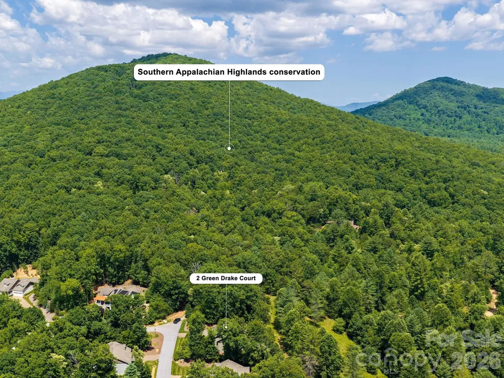 2 Green Drake Court Candler NC 28715