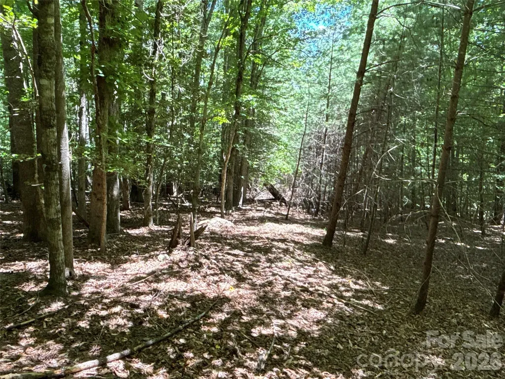 2006 Piedmont Road Morganton NC 28655