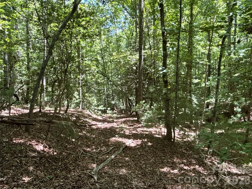 2006 Piedmont Road Morganton NC 28655