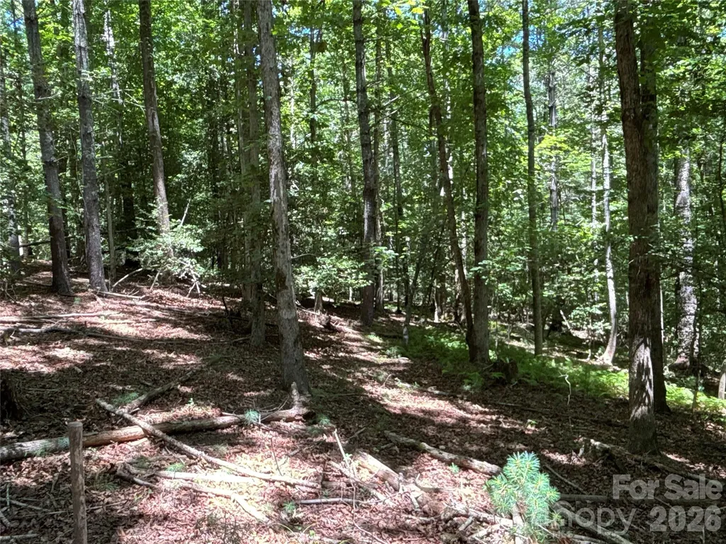 2006 Piedmont Road Morganton NC 28655