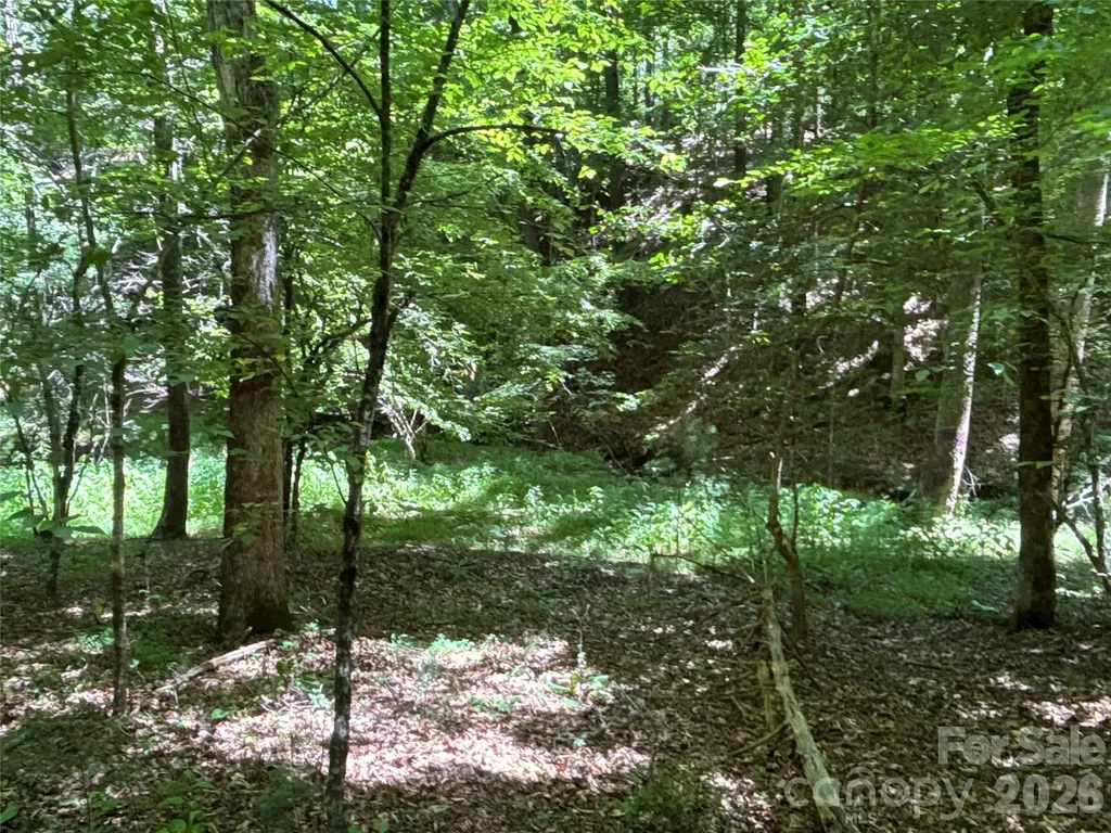 2006 Piedmont Road Morganton NC 28655