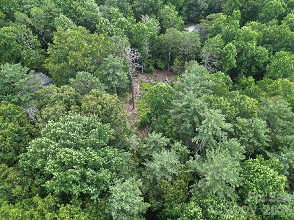 319 Valley Lane Pisgah Forest NC 28768