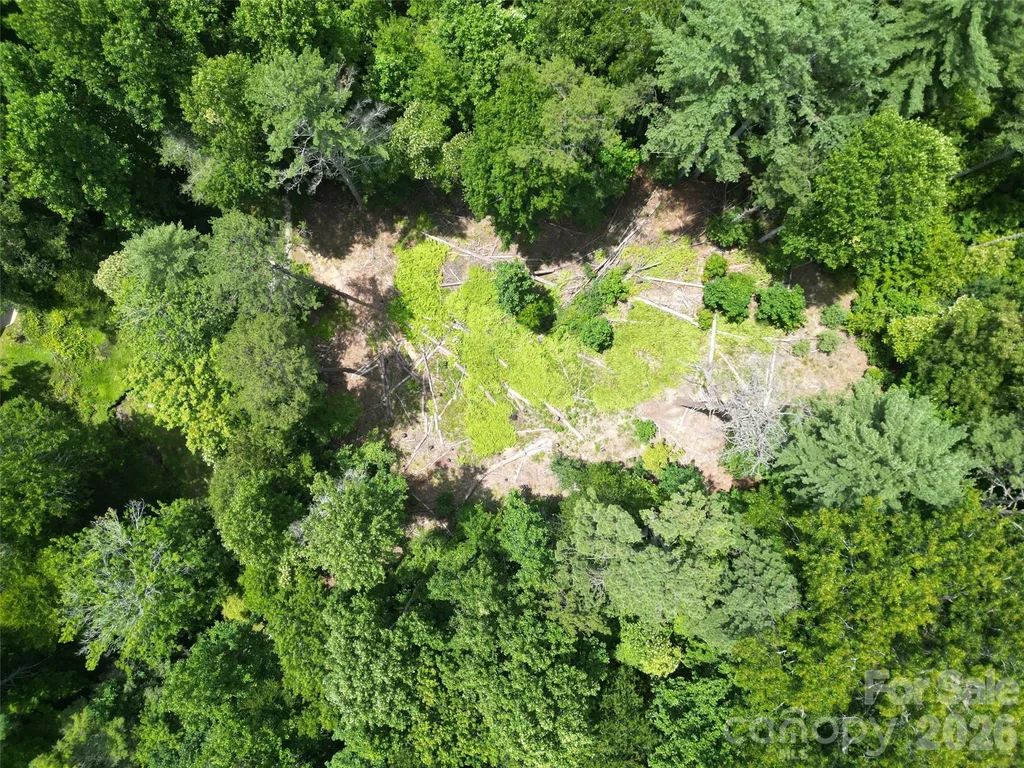 319 Valley Lane Pisgah Forest NC 28768