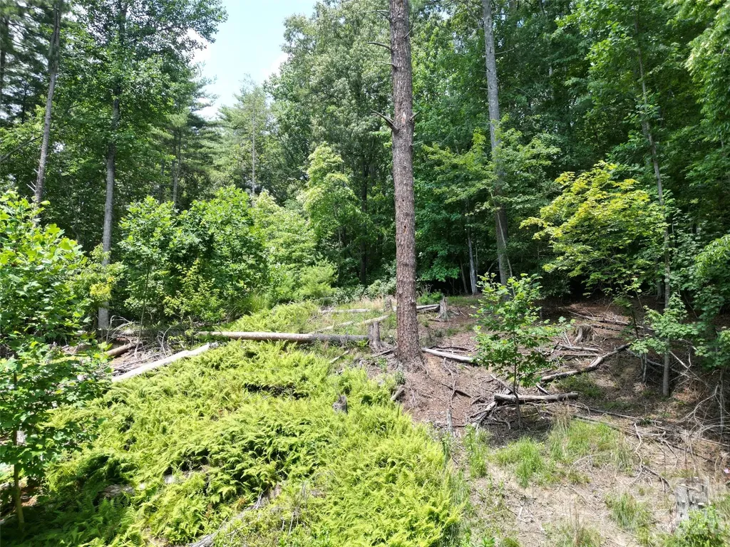319 Valley Lane Pisgah Forest NC 28768