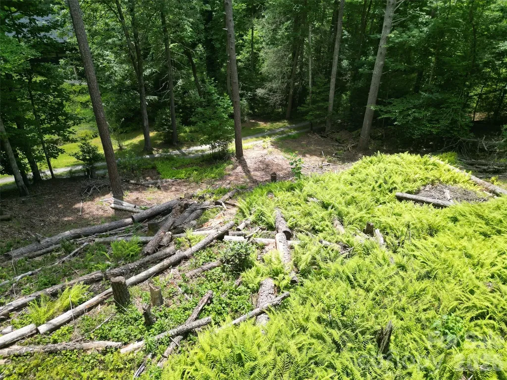 319 Valley Lane Pisgah Forest NC 28768