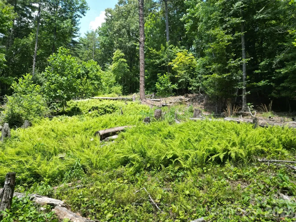 319 Valley Lane Pisgah Forest NC 28768