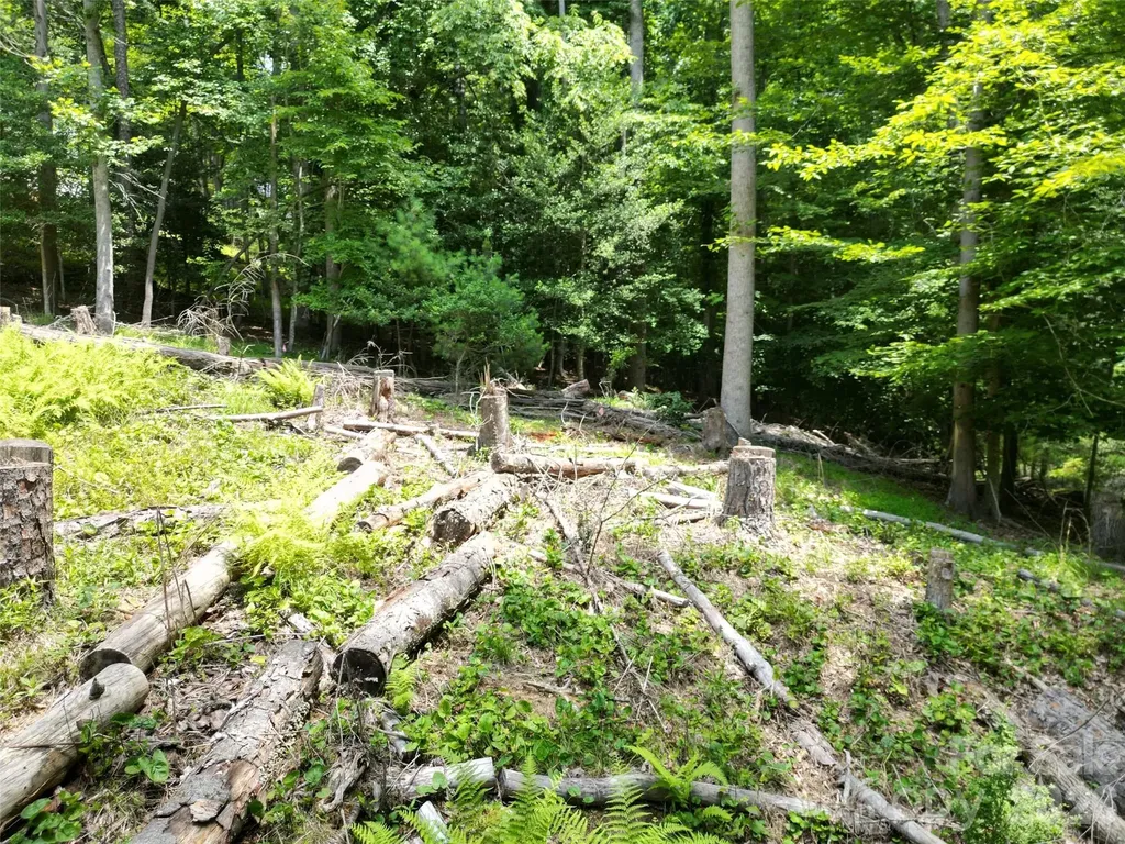 319 Valley Lane Pisgah Forest NC 28768