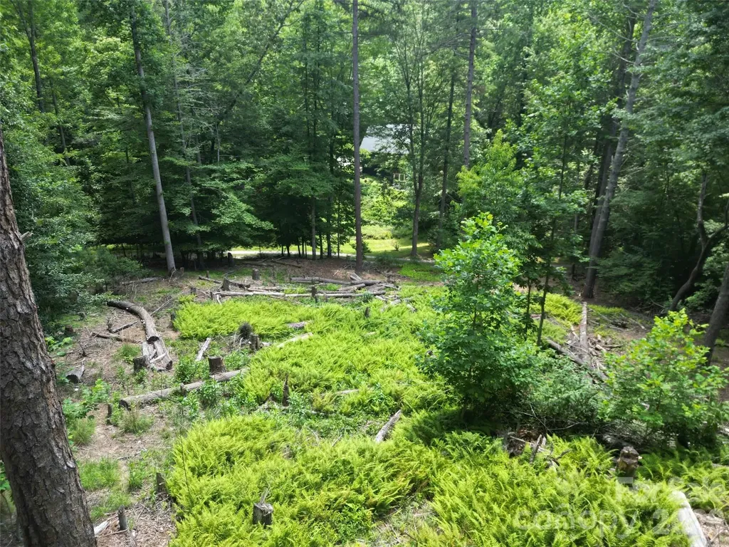 319 Valley Lane Pisgah Forest NC 28768