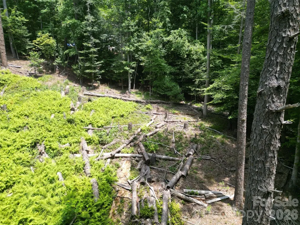 319 Valley Lane Pisgah Forest NC 28768