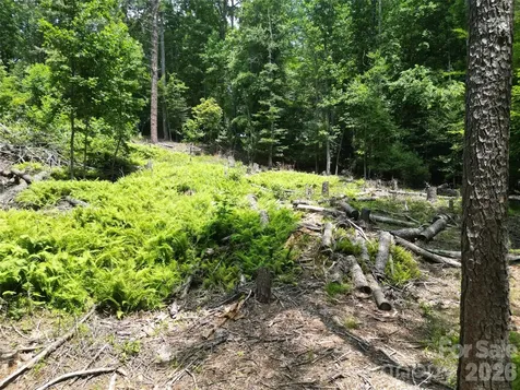 319 Valley Lane Pisgah Forest NC 28768
